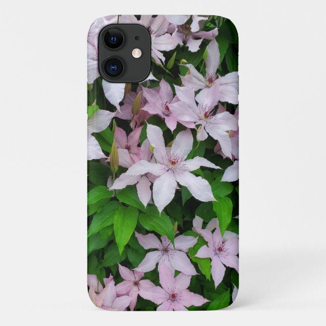 Capa Para iPhone 11 Clematite Floral Rosa Bonita (Verso)