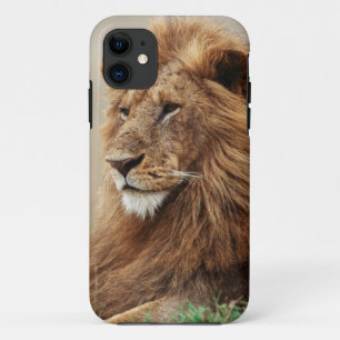 Capa Para iPhone 11 Close-up de leão macho