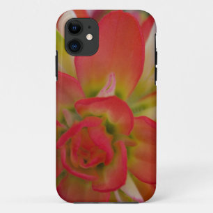 Capa Para iPhone 11 Close-up do Indian Paint Brush perto de Gay Hill,