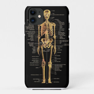 Capa Para iPhone 11 Cobrir de esqueleto do telefone