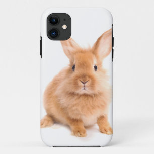 Capa Para iPhone 11 Coelho