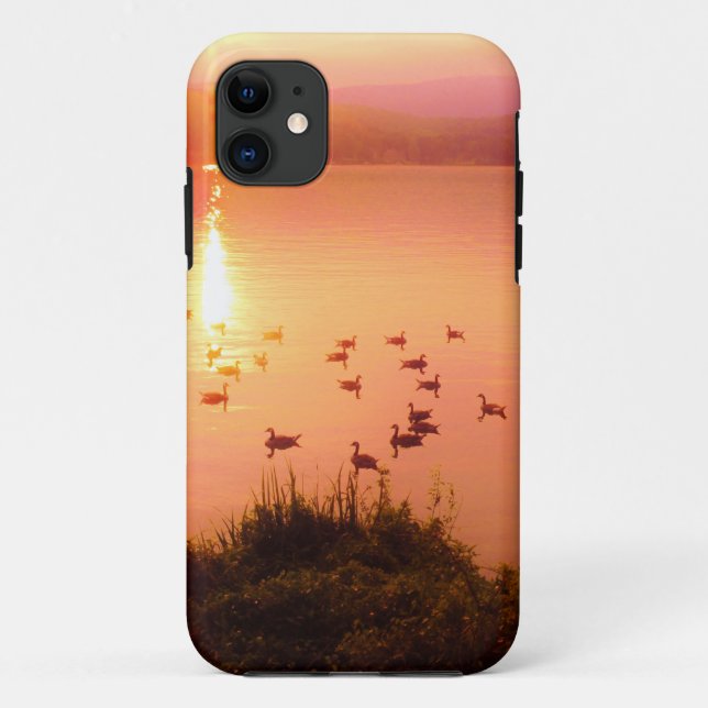 Capa Para iPhone 11 Coletor solar rosa e pêssego (Verso)