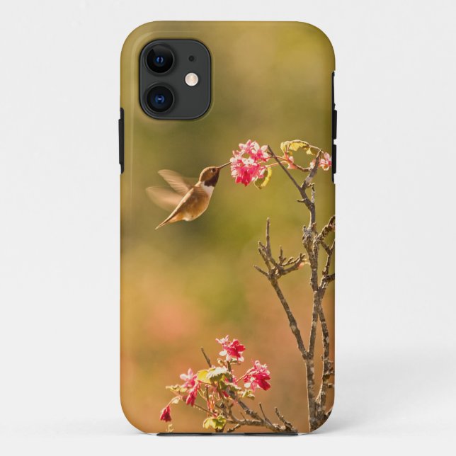 Capa Para iPhone 11 Colibri e flores cor-de-rosa (Verso)