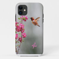 Colibri e flores do vôo