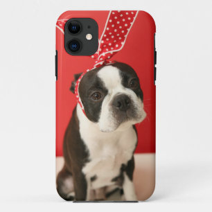 Capa Para iPhone 11 Cologalita Ⅰ
