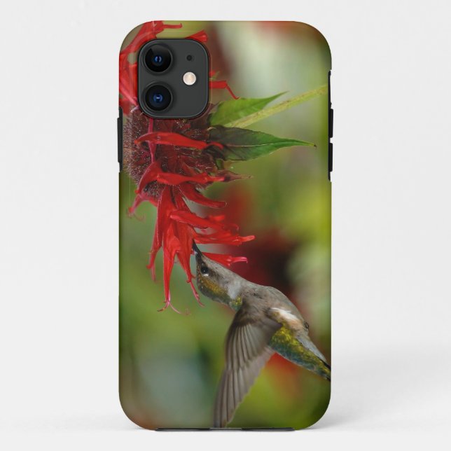 Capa Para iPhone 11 Colubris de Archilochus com Throated (Verso)