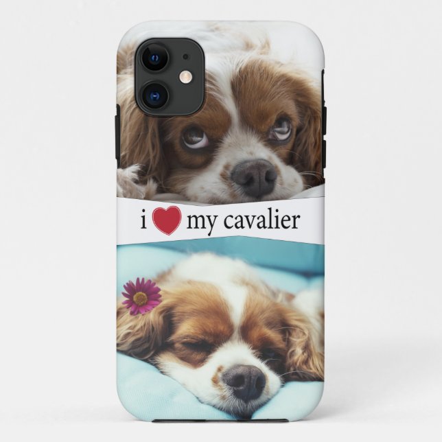 Capa Para iPhone 11 Coração Meu Cavaleiro Rei Charles Spaniel (Verso)