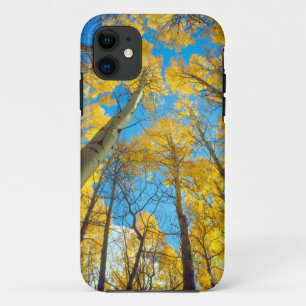 Capa Para iPhone 11 Cores de outono das árvores Aspen 2