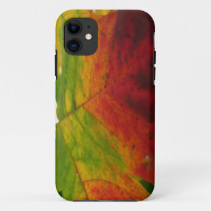 Capa Para iPhone 11 Cores do Cartaz Folha de Outono Fotografia