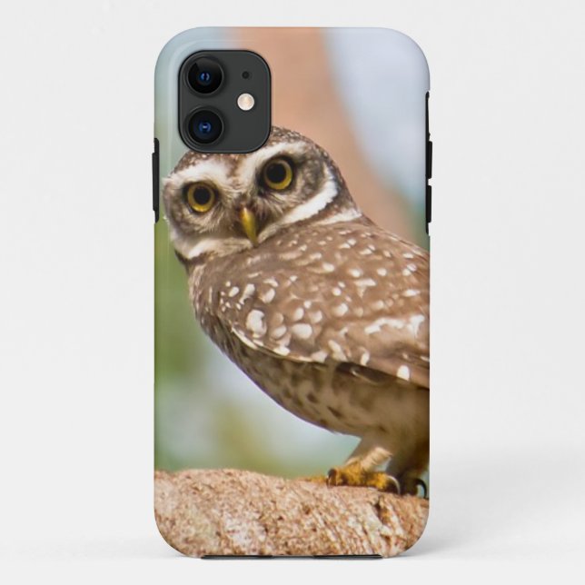 Capa Para iPhone 11 Coruja manchada no vôo da manhã (Verso)