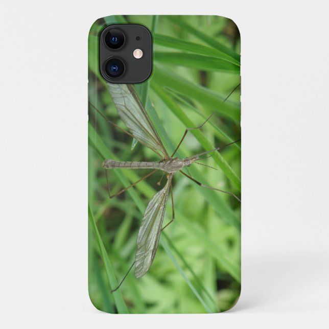 Capa Para iPhone 11 Crane Fly capa iphone 3 (Verso)