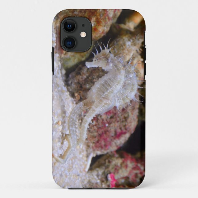 Capa Para iPhone 11 Criatura Do Mar De Cavalo Rosa (Verso)