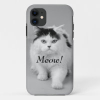 Crie sua própria foto Gato adorável preto e branco