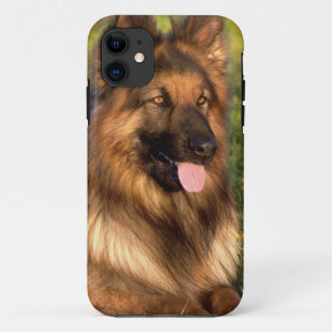 Capa Para iPhone 11 Crie Sua Própria Foto Personalizada De Cão De Pet