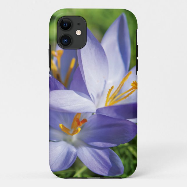 Capa Para iPhone 11 Crocus (Verso)