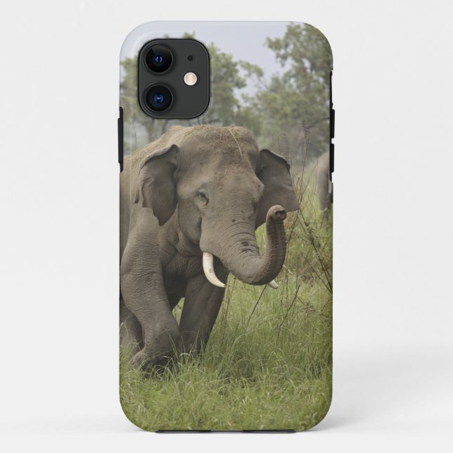 Capa Para iPhone 11 Cumprimento de Elefante Asiático Indiano (Verso)