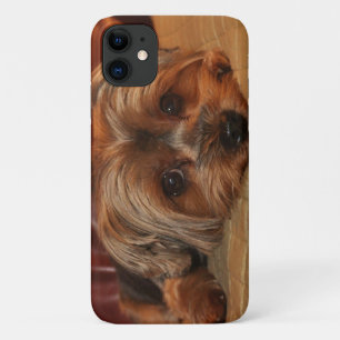 Capa Para iPhone 11 Cute Yorkshire Terrier Puppy Dog