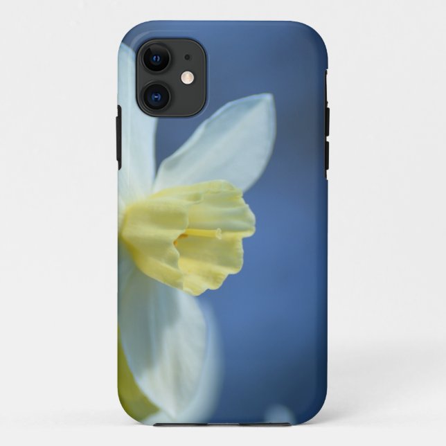 Capa Para iPhone 11 Daffodil na Primavera (Verso)