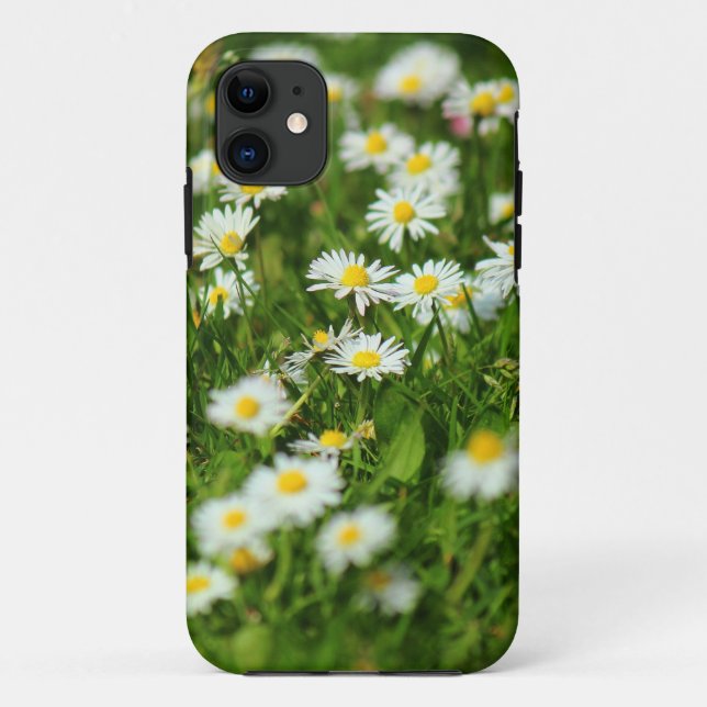 Capa Para iPhone 11 Daisy Meadow (Verso)