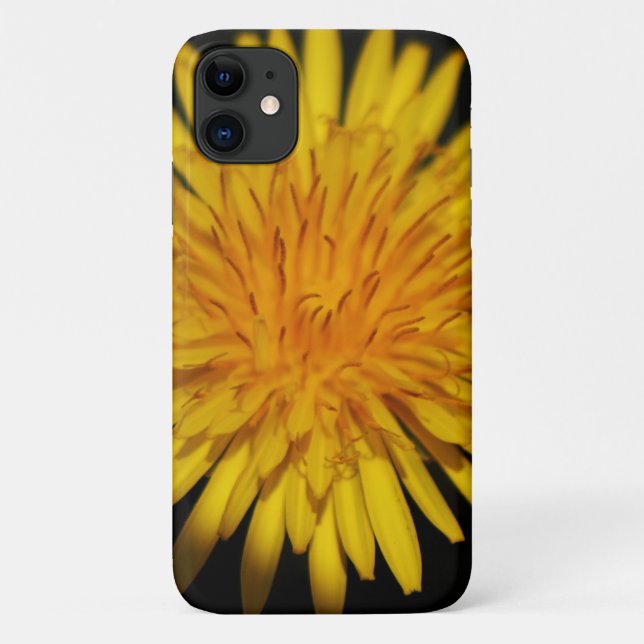 Capa Para iPhone 11 Dandelion Flower iphcnm (Verso)