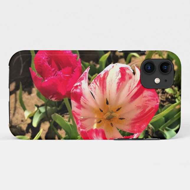 Capa Para iPhone 11 Dentro a Tulipa Rosa e Branca (Verso (horizontal))