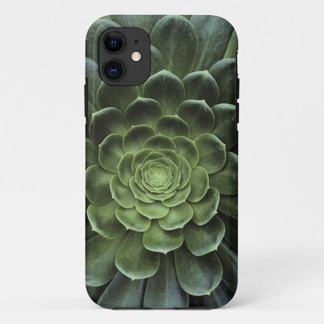 Capa Para iPhone 11 DES Kaktus de Mitte (Verso)