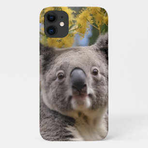 Capa Para iPhone 11 "Descansado no Dourado: uma Koala em uma árvore de