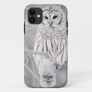 Capa Para iPhone 11 Design branco bonito da coruja da neve