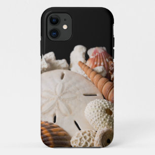 Capa Para iPhone 11 Detalhe de Conchas de Todo o Mundo