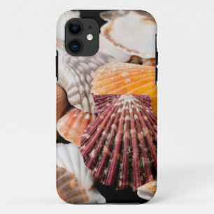 Capa Para iPhone 11 Detalhe De Conchas Do Mundo 2