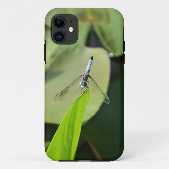 Capa Para iPhone 11 Dragonfly azul em uma folha verde. (Verso)