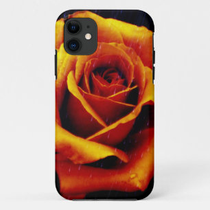 Capa Para iPhone 11 Drama da caixa alaranjada do iPhone 5 do rosa