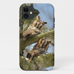 Capa Para iPhone 11 Duas corujas nos bosques, aves, vida selvagem Case
