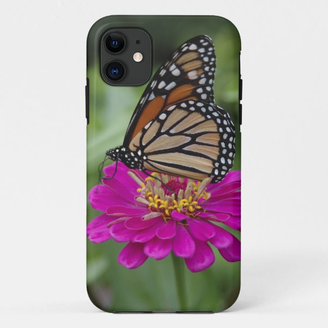 Capa Para iPhone 11 E.U.A., Massachusetts, Boylston, Tower Hill (Verso)
