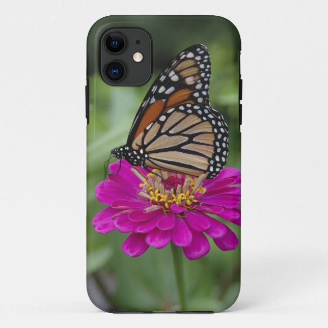 Capa Para iPhone 11 E.U.A., Massachusetts, Boylston, Tower Hill (Verso)