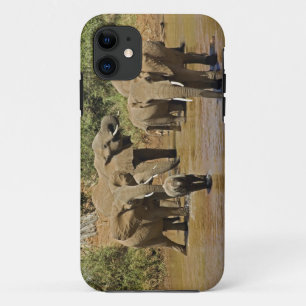 Capa Para iPhone 11 Elefantes africanos, Loxodonta Africana, Samburu