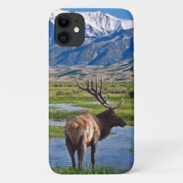 Capa Para iPhone 11 Elk das Montanhas Rochosas do Colorado