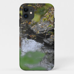 Capa Para iPhone 11 Encantamentos da Terra