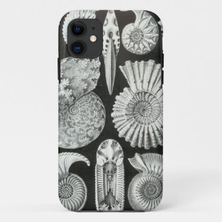 Capa Para iPhone 11 Ernst Haeckel - Ammonitida