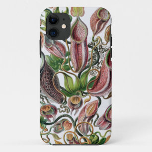 Capa Para iPhone 11 Ernst Haeckel Kunstformen der Nature Nepenthaceae