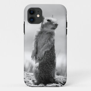 Capa Para iPhone 11 Esquilo