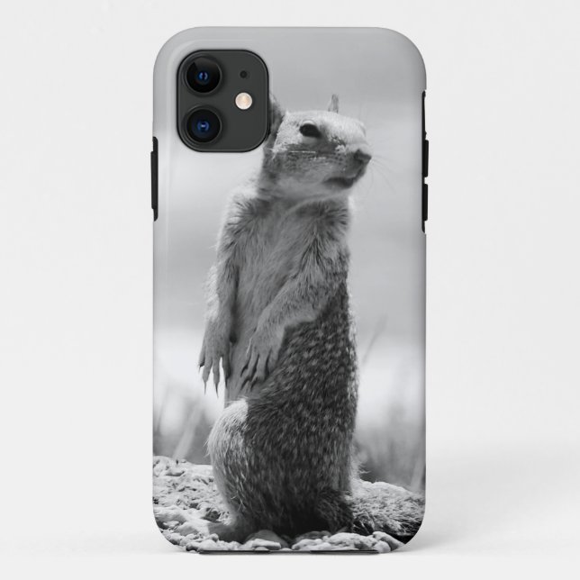 Capa Para iPhone 11 Esquilo (Verso)