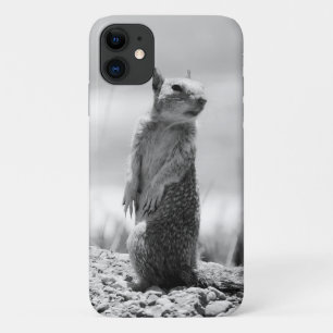 Capa Para iPhone 11 Esquilo