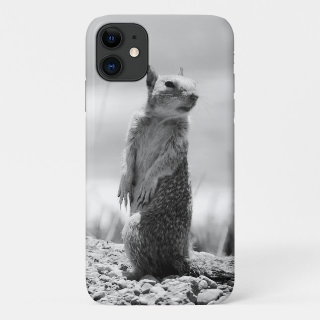 Capa Para iPhone 11 Esquilo (Verso)