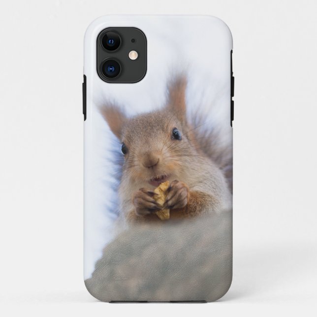 Capa Para iPhone 11 Esquilo com noz (Verso)