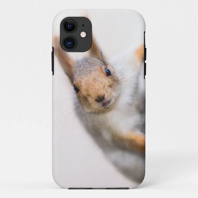 Capa Para iPhone 11 Esquilo curioso (Verso)