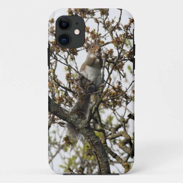 Capa Para iPhone 11 Esquilo numa Árvore (Verso)