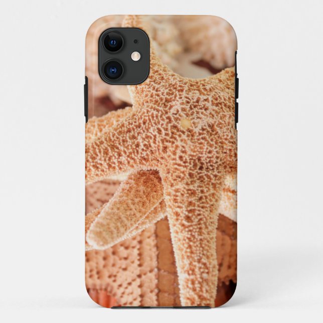 Capa Para iPhone 11 Estrelas-do-mar secas vendidas como lembranças 2 (Verso)