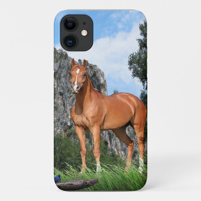 Capa Para iPhone 11 Eu amo Cavalos (Verso)