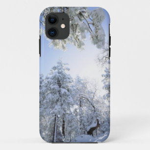 Capa Para iPhone 11 EUA, Califórnia, Floresta Nacional de Cleveland,